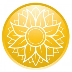 ۶۰۰x600