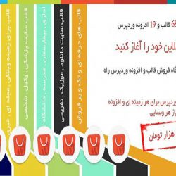 wp-package-theme