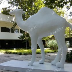 makete-camel2