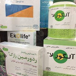 maket-daro3
