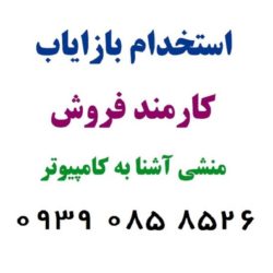 (۱۳)