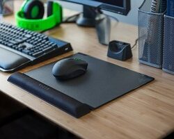 vespula-desk (Copy)