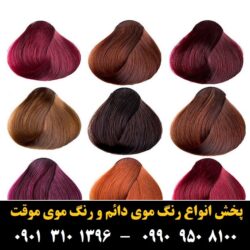 مو (۸۷۹) [رنگ مو]