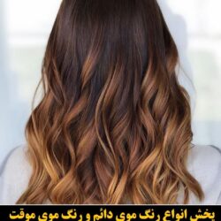 مو (۵۸۳) [رنگ مو]