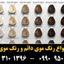 مو (۶۸۰) [رنگ مو]