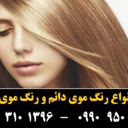 مو (۳۵۶) [رنگ مو]