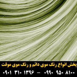 مو (۵۳۶) [رنگ مو]