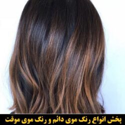 مو (۵۹۰) [رنگ مو]