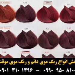 مو (۵۴۰) [رنگ مو]