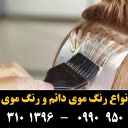 مو (۹۸۷) [رنگ مو]