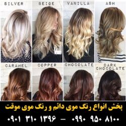 مو (۴۴) [رنگ مو]