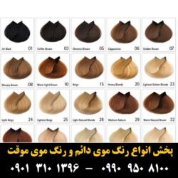 مو (۴۸۶) [رنگ مو]