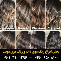 مو (۴۹۳) [رنگ مو]