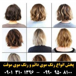 مو (۳۳۳) [رنگ مو]
