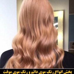مو (۷۰۵) [رنگ مو]