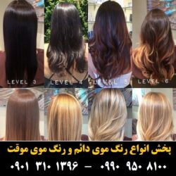 مو (۵۰۰) [رنگ مو]