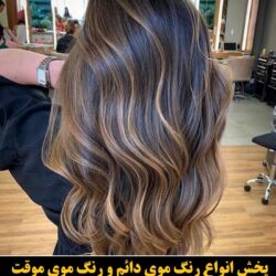 مو (۷۶۱) [رنگ مو]