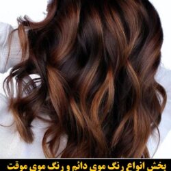 مو (۴۳۰) [رنگ مو]