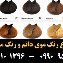 مو (۸۸۲) [رنگ مو]
