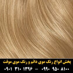 مو (۹۰۶) [رنگ مو]