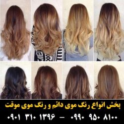 مو (۳۷۲) [رنگ مو]