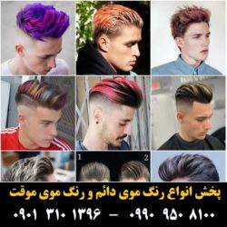 مو (۸۴۰) [رنگ مو]
