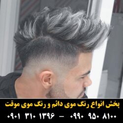 مو (۴۴۱) [رنگ مو]
