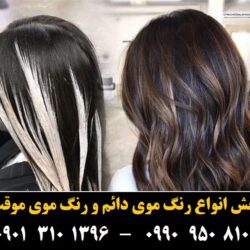 مو (۳۳۰) [رنگ مو]