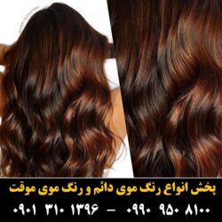 مو (۴۲) [رنگ مو]