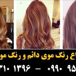 مو (۸۱۴) [رنگ مو]