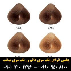 مو (۸۲۴) [رنگ مو]