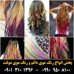 مو (۵۰۴) [رنگ مو]