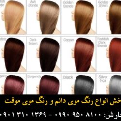 مو گلدن رین (۳۲۷) (Custom)