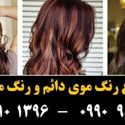 مو (۹۳۹) [رنگ مو]