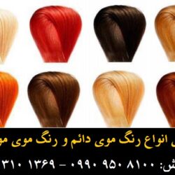 مو گلدن رین (۱۷۶) (Custom)