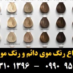 مو (۶۸۴) [رنگ مو]