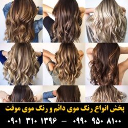 مو (۳۷۵) [رنگ مو]