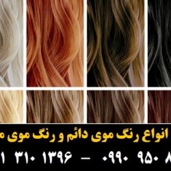 مو (۵۶۱) [رنگ مو]