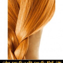 مو (۸۰۴) [رنگ مو]