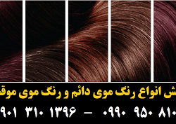 مو (۲۲) [رنگ مو]