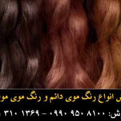 مو گلدن رین (۳۱۸) (Custom) - Copy