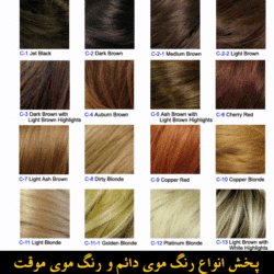 مو گلدن رین (۱) (Custom)