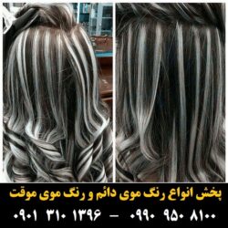 مو (۴۹۹) [رنگ مو]