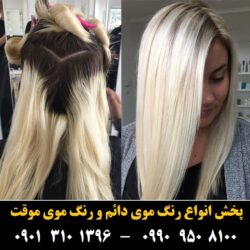 مو (۳۶۱) [رنگ مو]