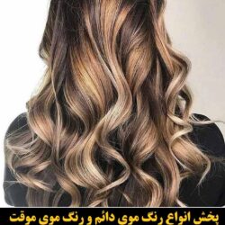 مو (۳۹) [رنگ مو]