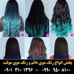 مو (۵۱۶) [رنگ مو]