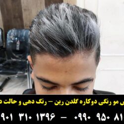مو موقت خاکستری روشن گلدن رین ۵
