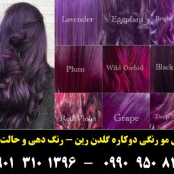 موموقت تناژ بنفش گلدن رین