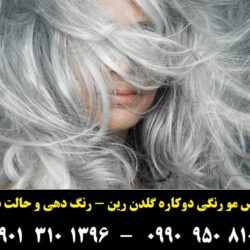 دهی موقت مو طیف خاکستری گلدن رین ۲۳۶