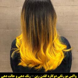 مو موقت تناژ زرد گلدن رین